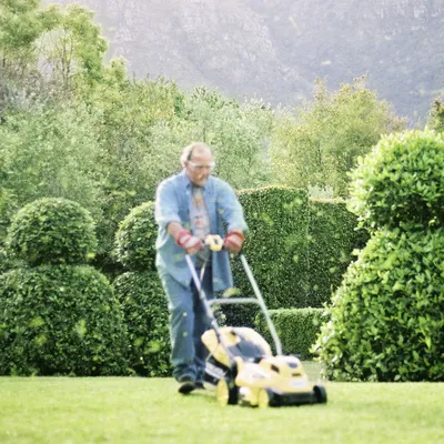 Cordless lawn mower best sale and hedge trimmer set