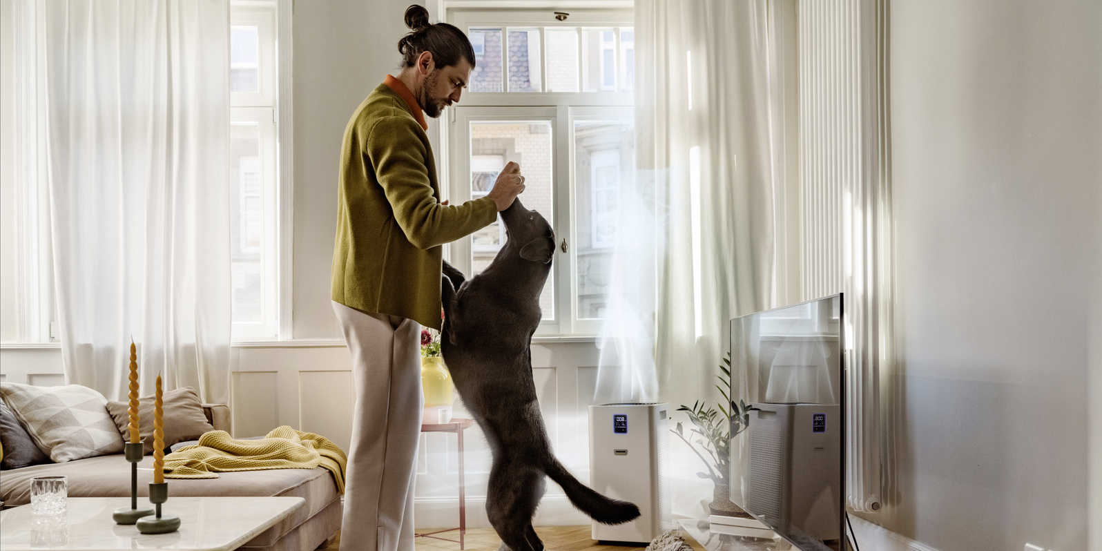 Rengöringstips för djurägare