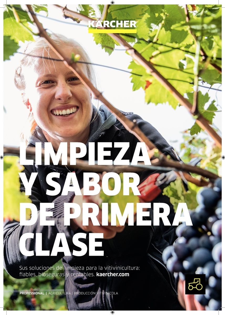 catalogo vitiinicola