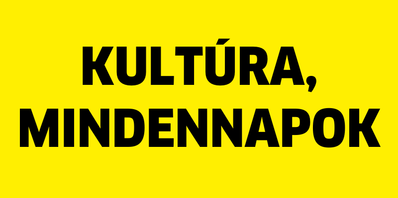 WOW Kultur & Einblicke