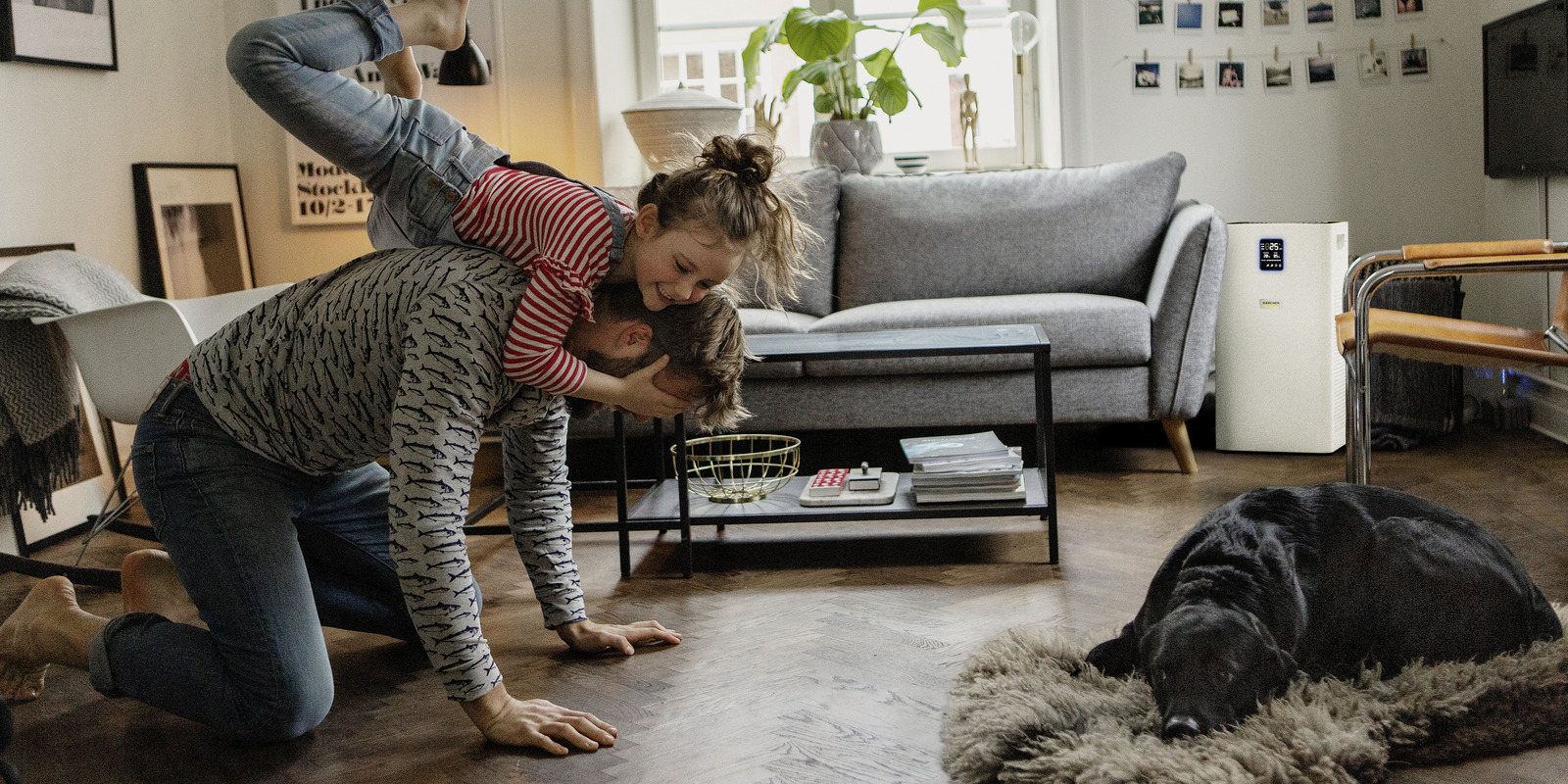 Kärcher tips for cleaning living spaces