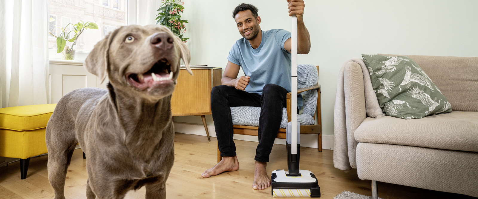 Savjeti za čišćenje dlaka kućnih ljubimaca