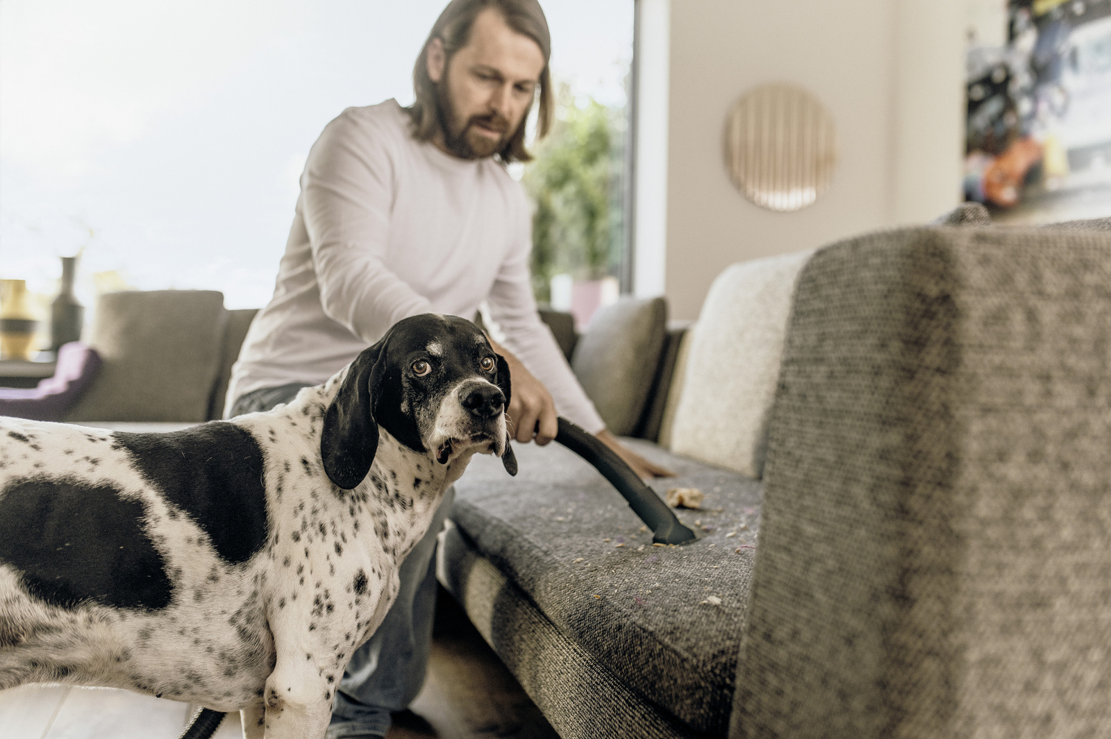 Usisavanje kauča punog dlaka