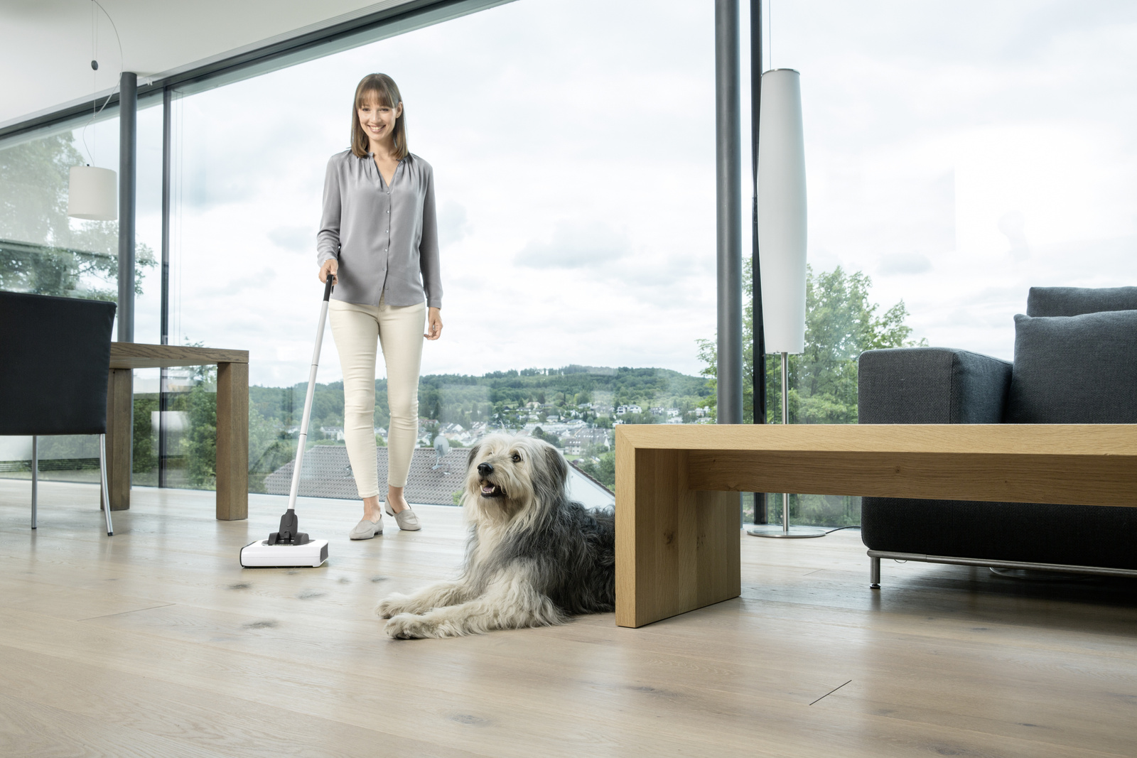 Uklanjanje dlaka kućnih ljubimaca s poda Kärcher bežičnom električnom metlom