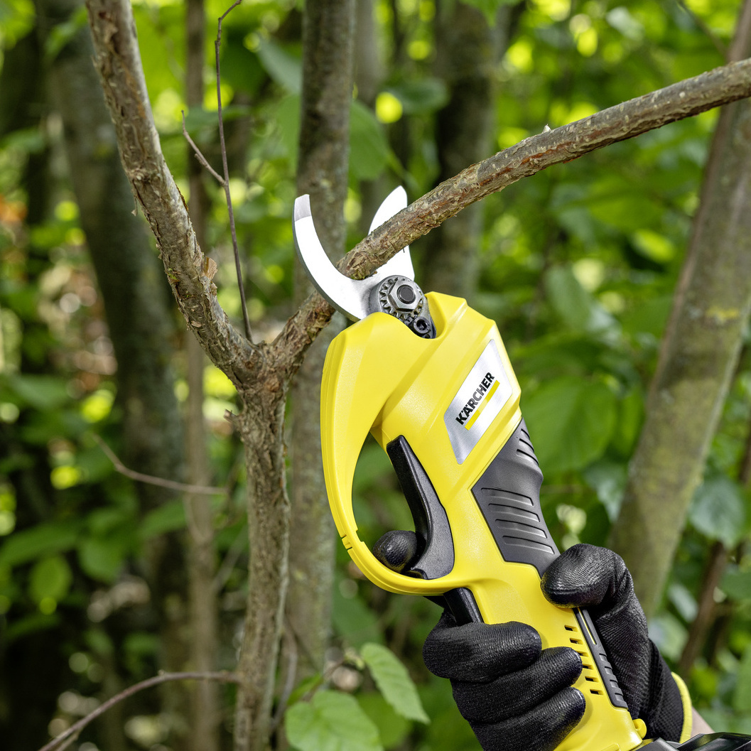 Erhöhter Arbeitsradius durch Astschere Erhöhter Arbeitsradius durch Astschere