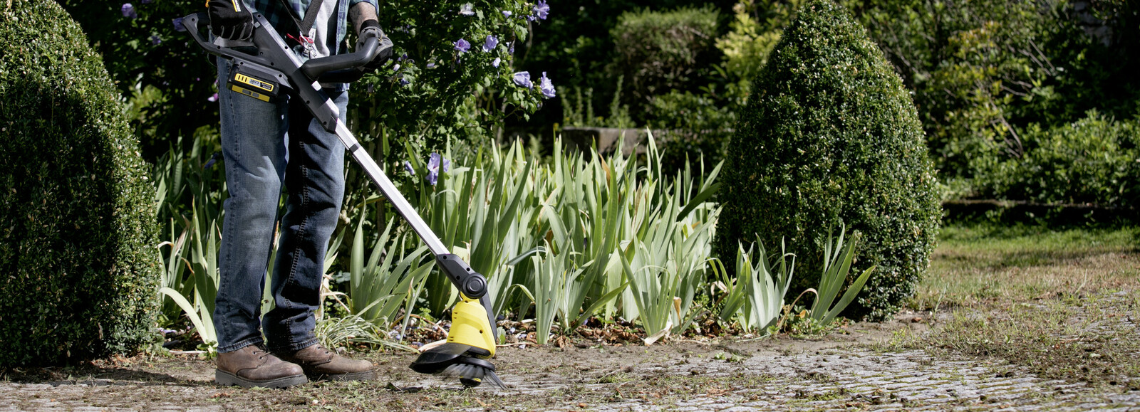 Mężczyzna z brodą za pomocą akumulatorowego wycinaka do chwastów usuwa niepożądane rośliny z alejki w ogrodzie.