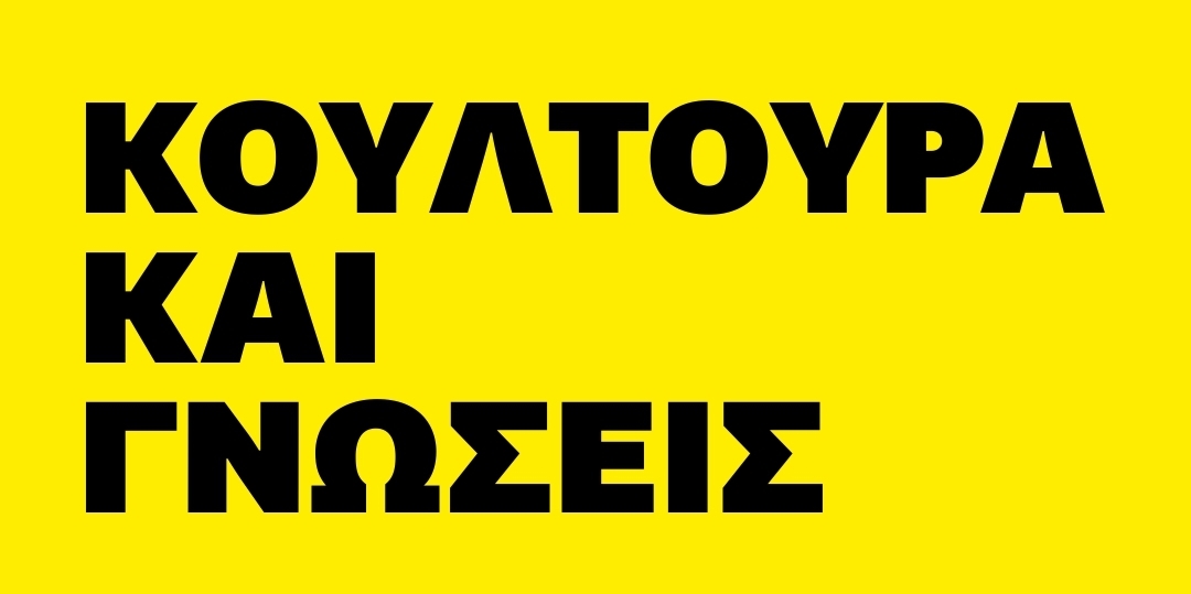 WOW culture & insights