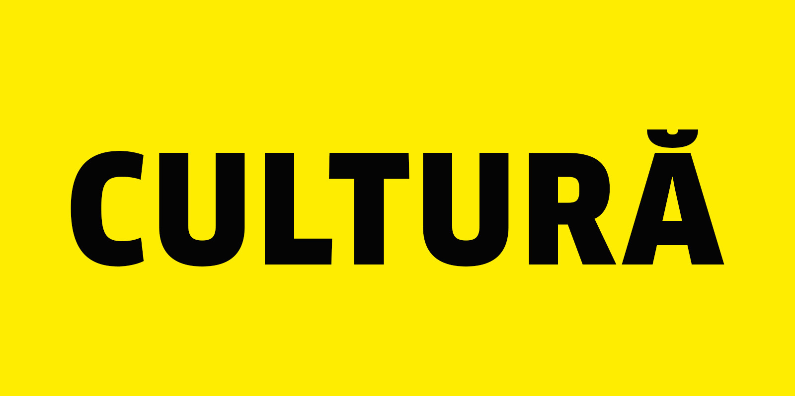 WOW culture & insights