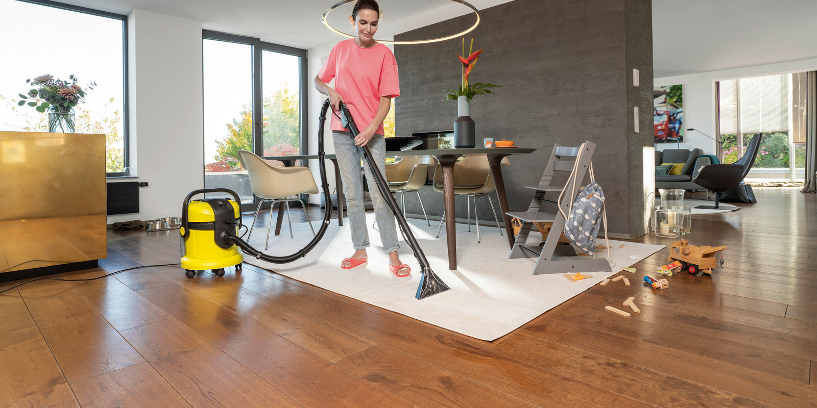 Karcher VC 6 CORDLESS OurFamily Pet