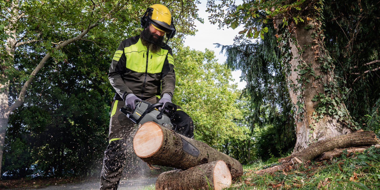 Władze gminne i samorządowe