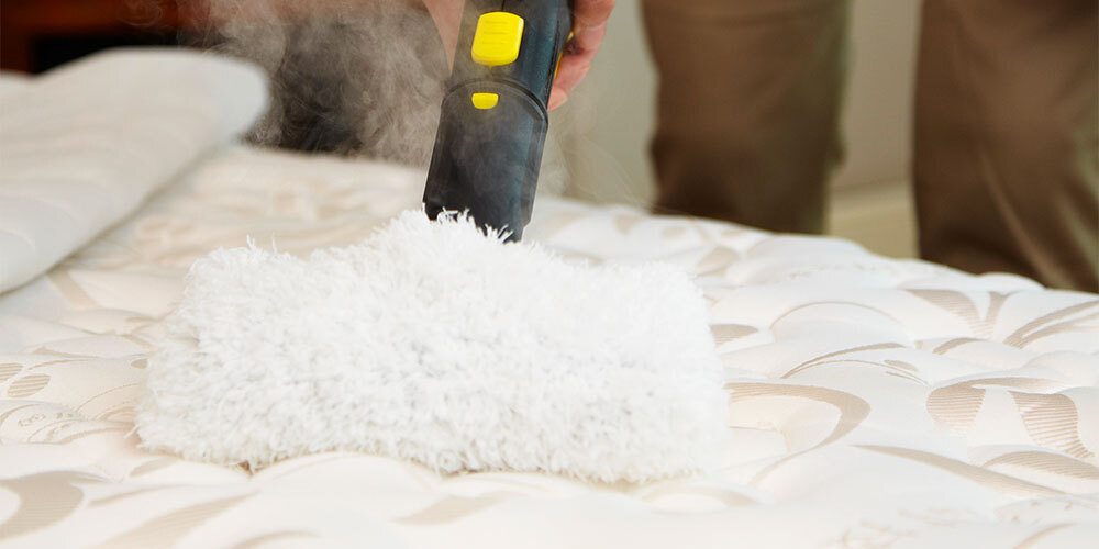 スチームで虫対策