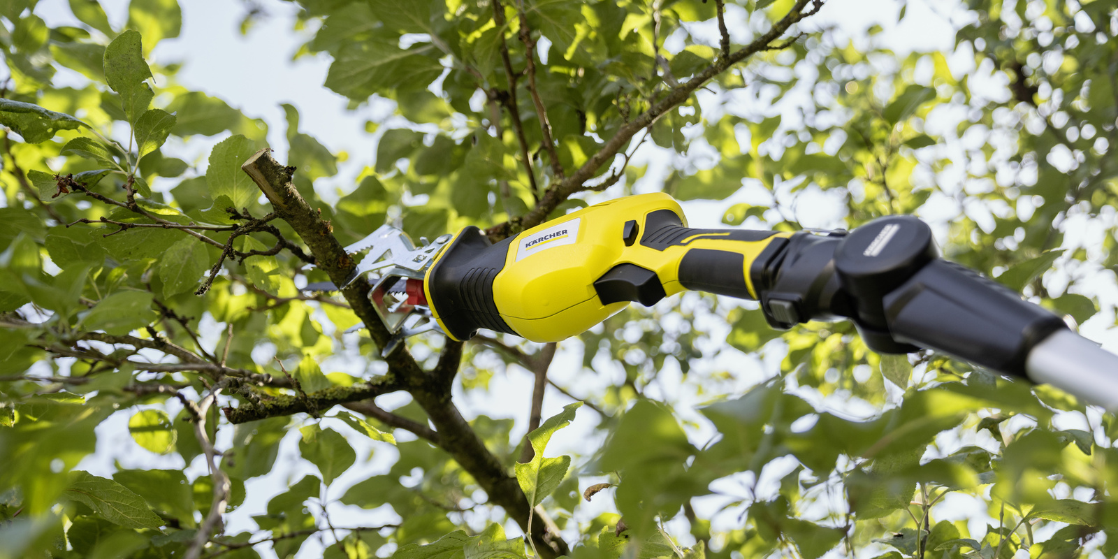 Cutting trees Cutting trees