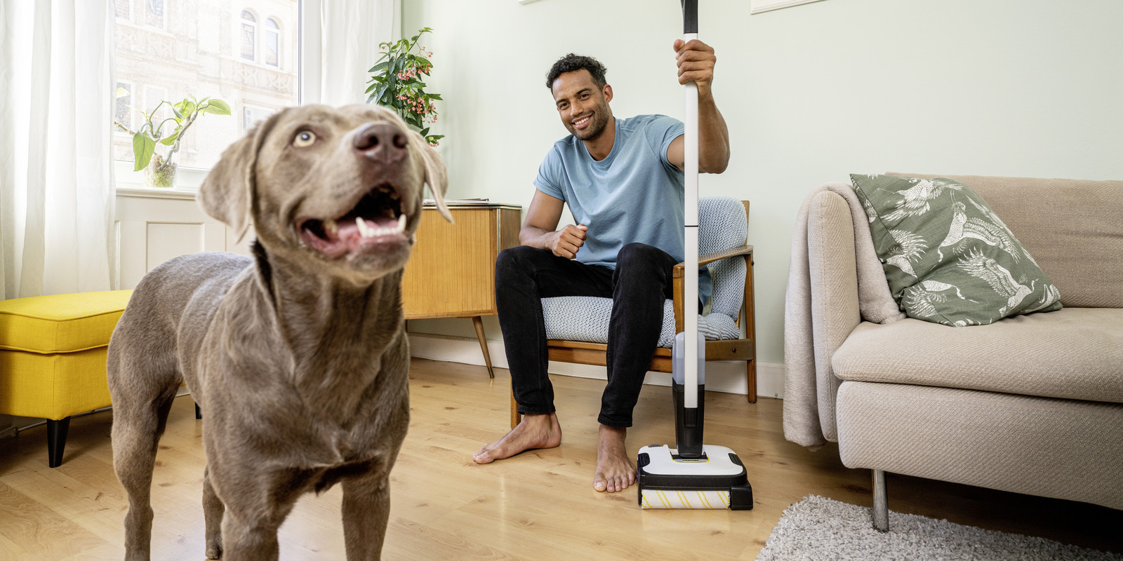 Съвети за почистване от Kärcher за собствениците на домашни любимци