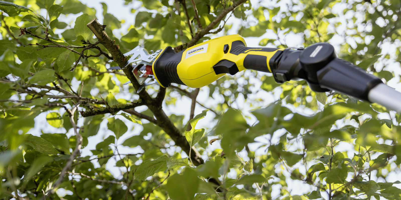 Подрязване на дървета