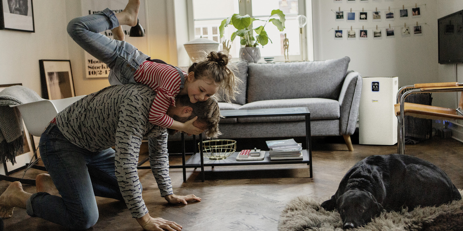 Wohnräume reinigen Wohnräume reinigen mit Kärcher Tipps