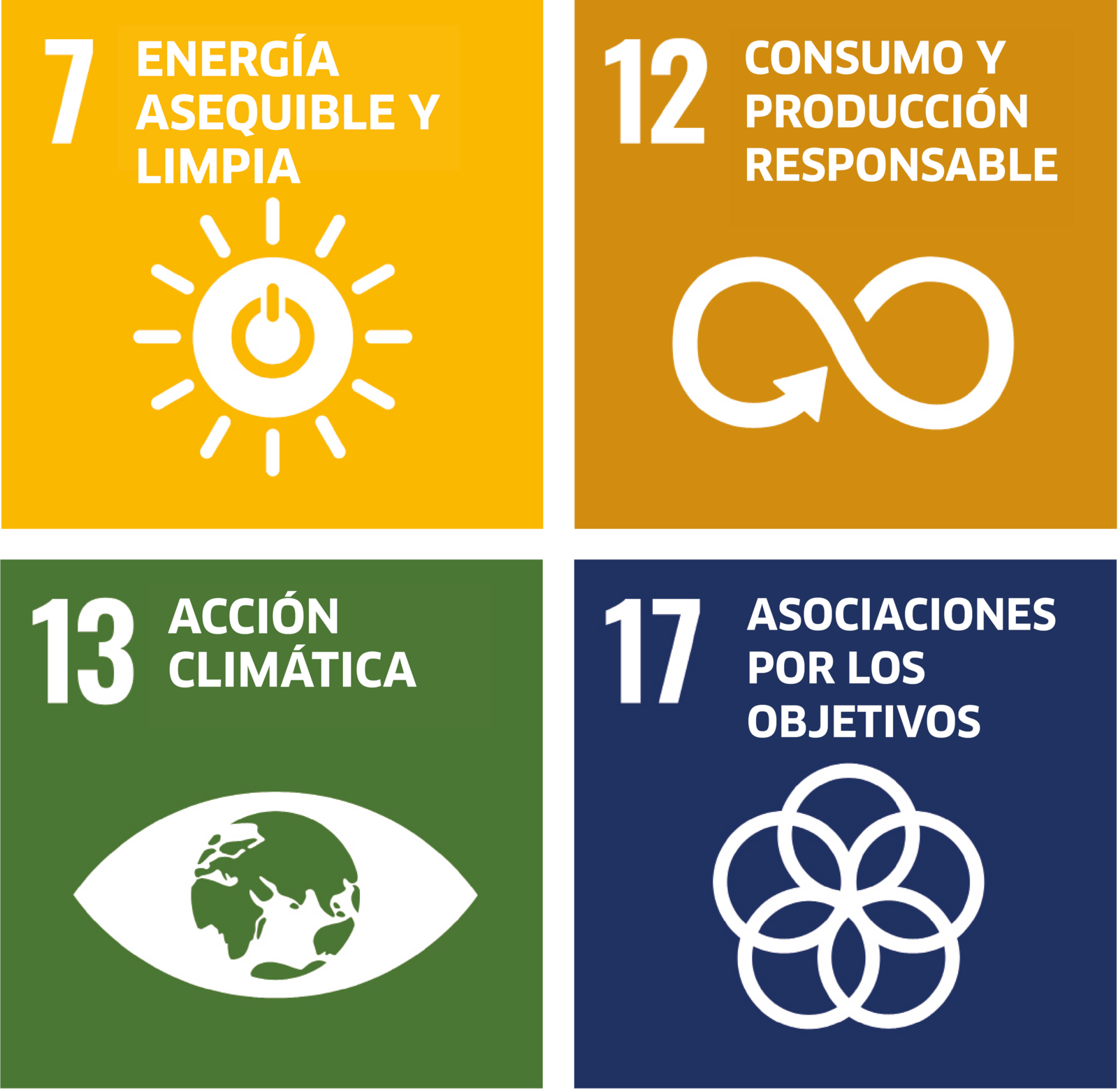 SDG icons
