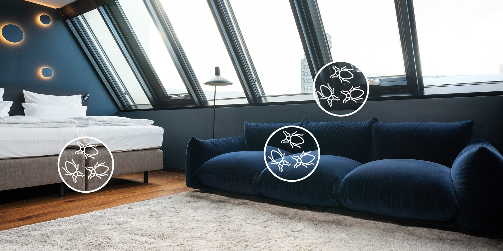 Combat bedbugs_Teaser image