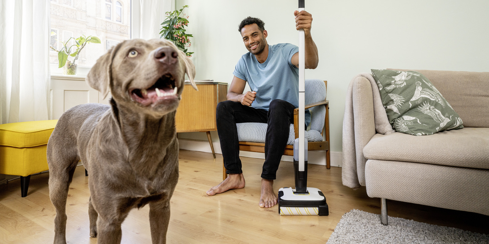 Kärcher rengøringstips til kæledyrsejere