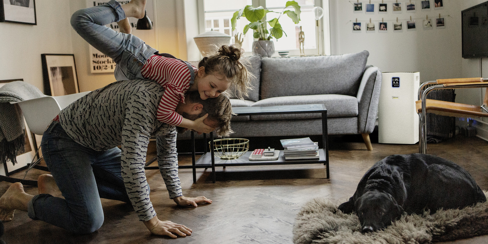 Wohnräume reinigen Wohnräume reinigen mit Kärcher Tipps