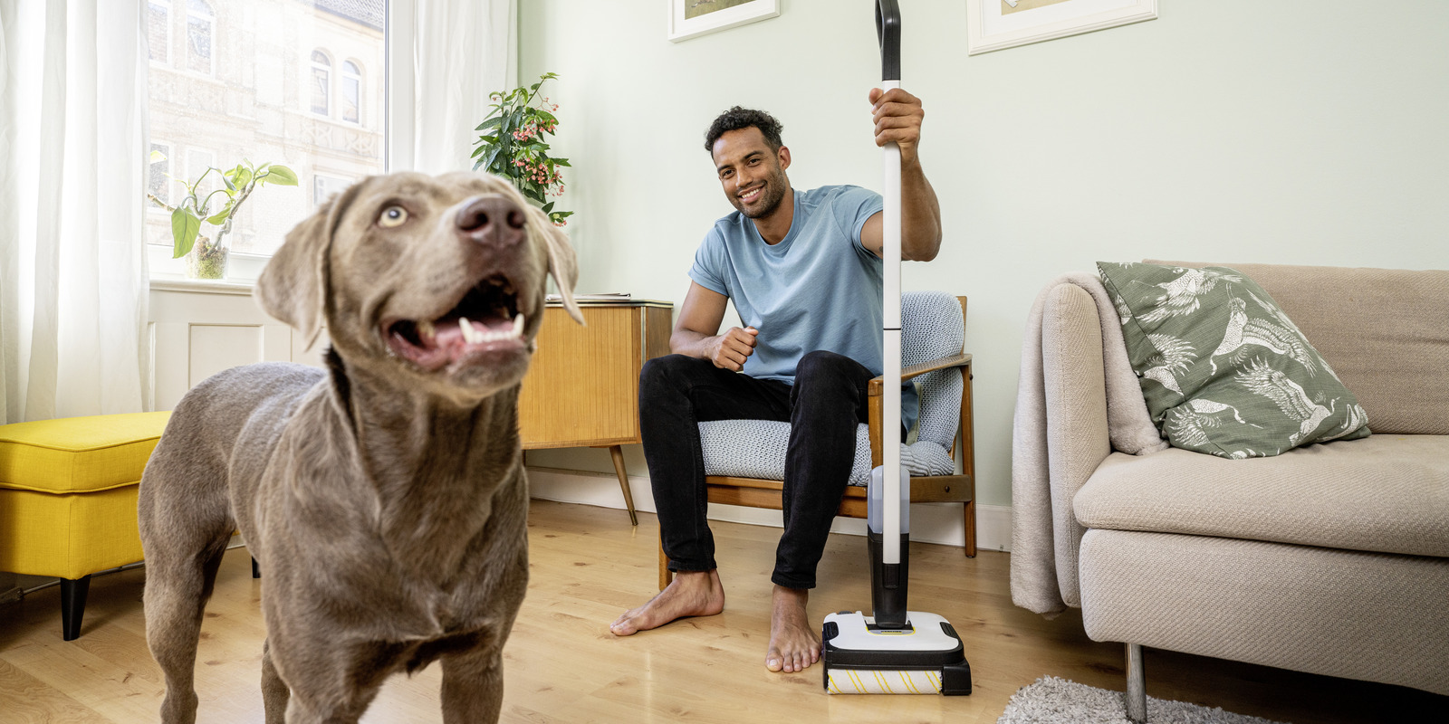 Reinigungstipps für Tierhalter Kärcher-Reinigungstipps für Tierhalter