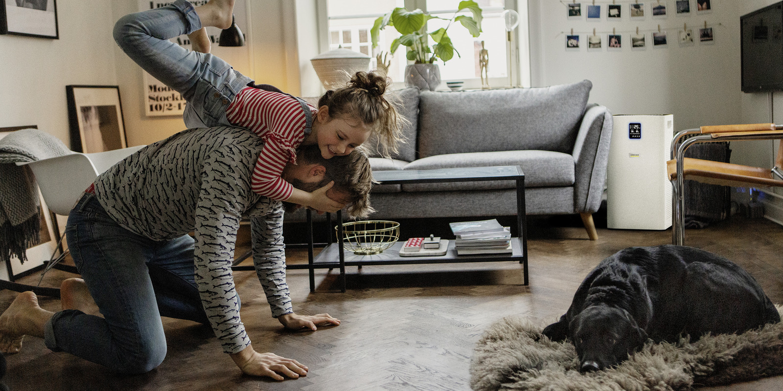 Wohnräume reinigen Wohnräume reinigen mit Kärcher Tipps