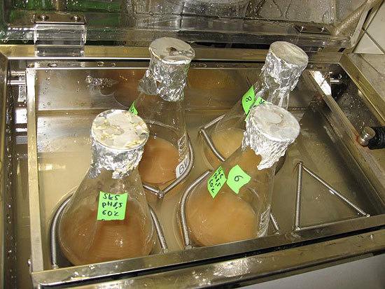 Biotenside Biotenside