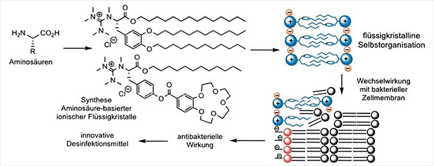 Ionische Flüssigkristalle Ionische Flüssigkristalle