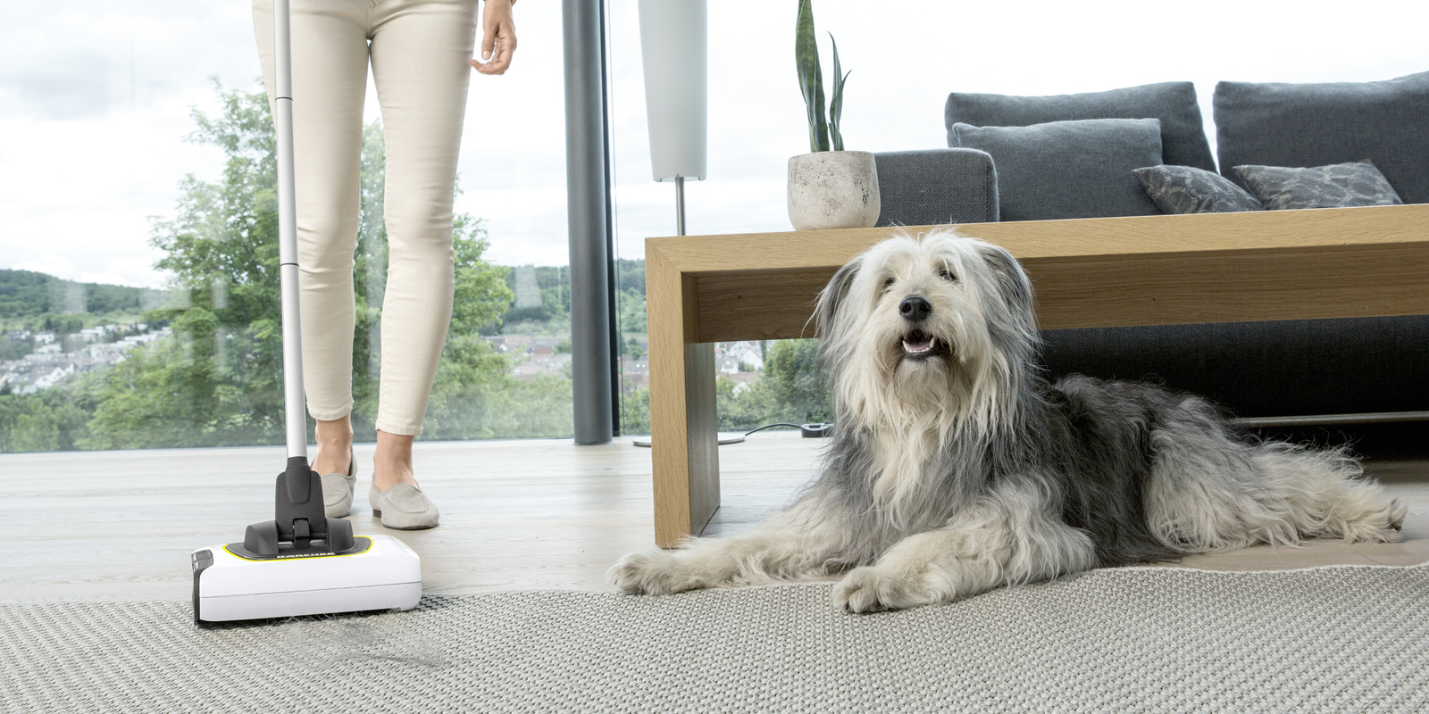 Conseils de nettoyage de Kärcher pour les propriétaires d'animaux