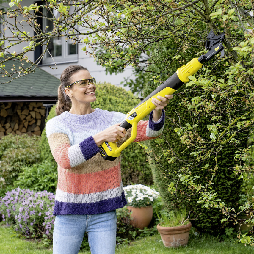 promocja akumulatorowe nożyce do gałęzi