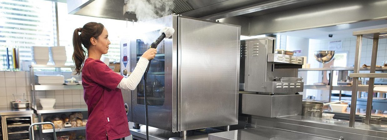 steam vacs steam vacs