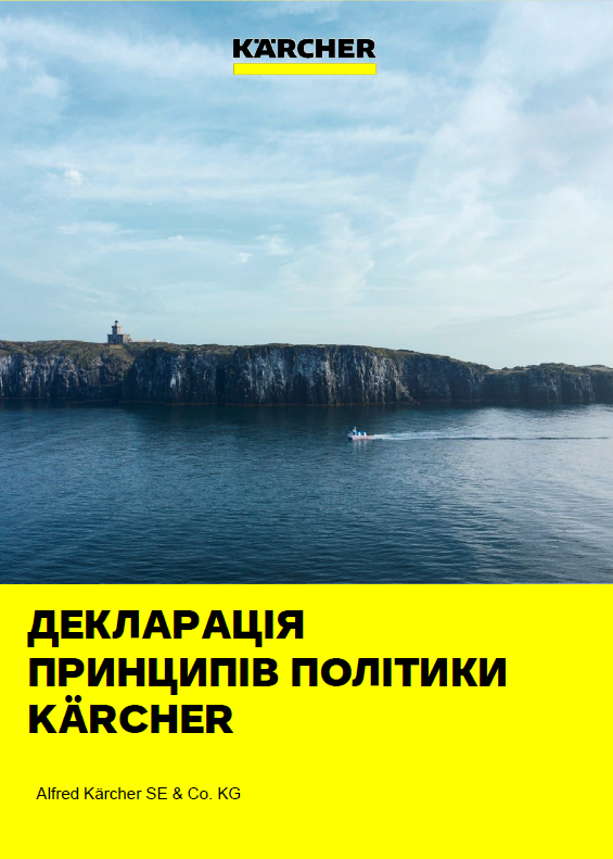 Декларация принципов политики