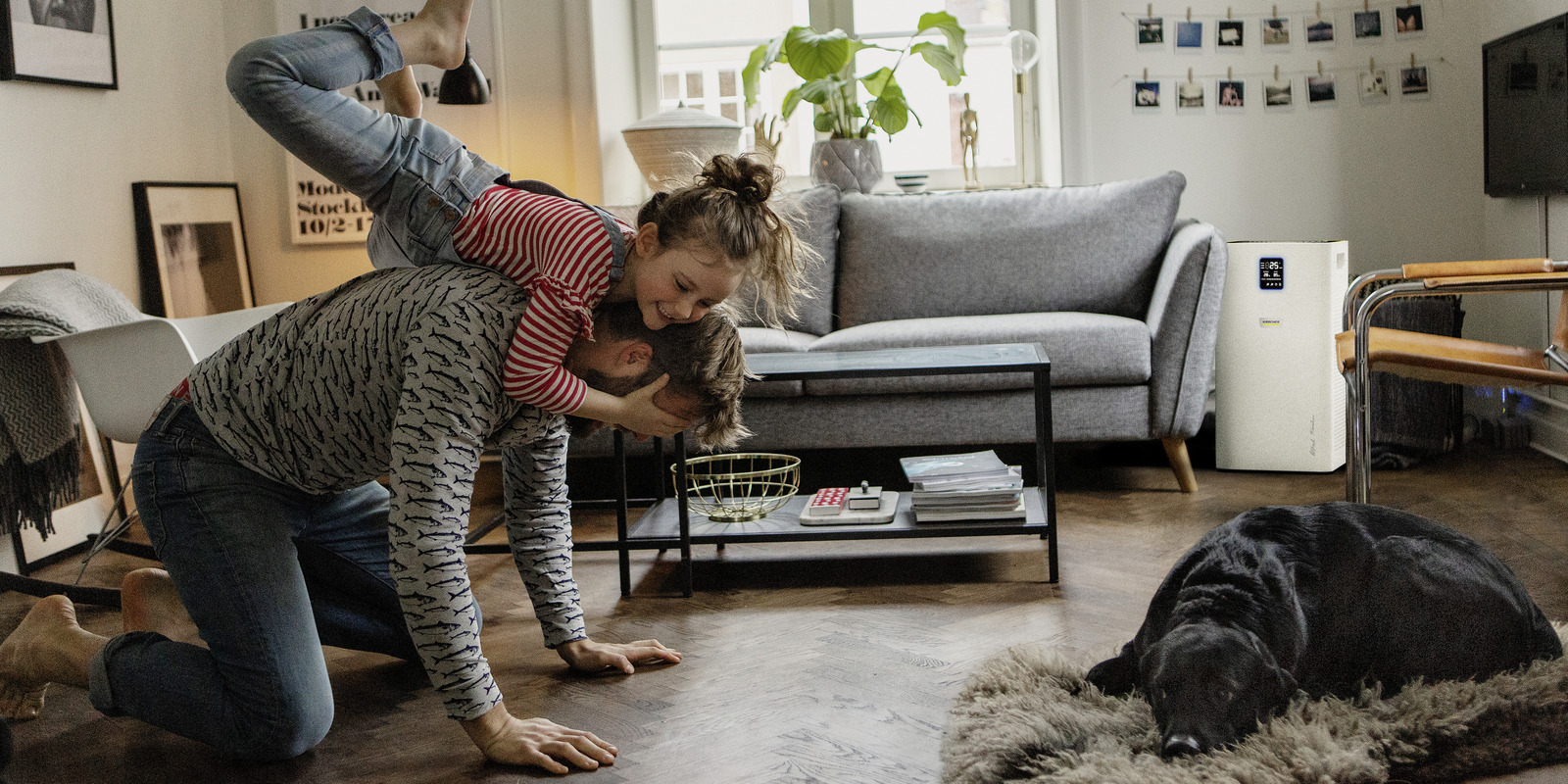 Wohnräume reinigen Wohnräume reinigen mit Kärcher Tipps