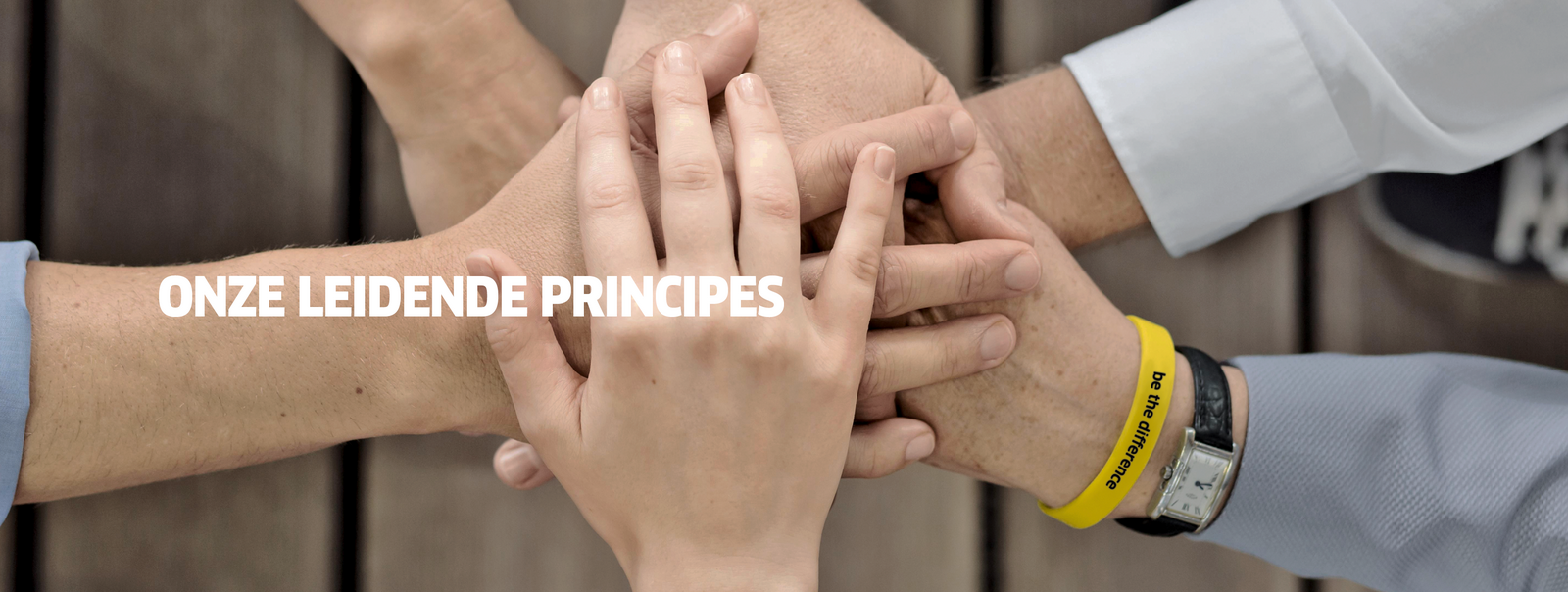 leidende pricipes de leidende pricipes van onze onderneming
