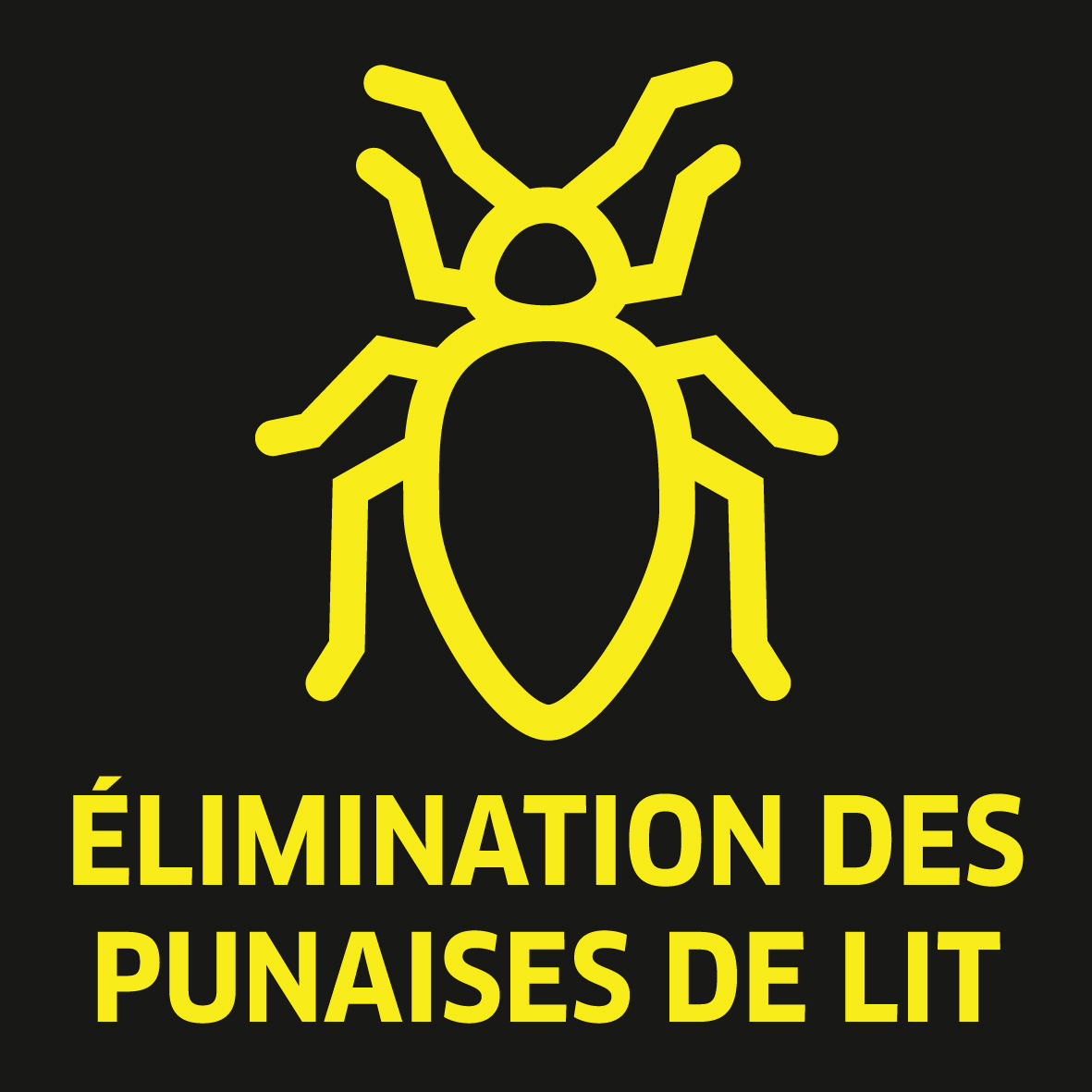 élimination des punaises de lit