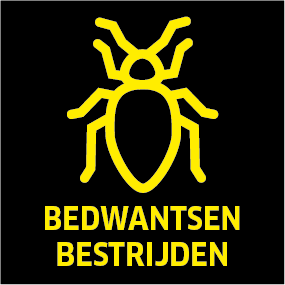élimination des punaises de lit bedwantsen bestrijden