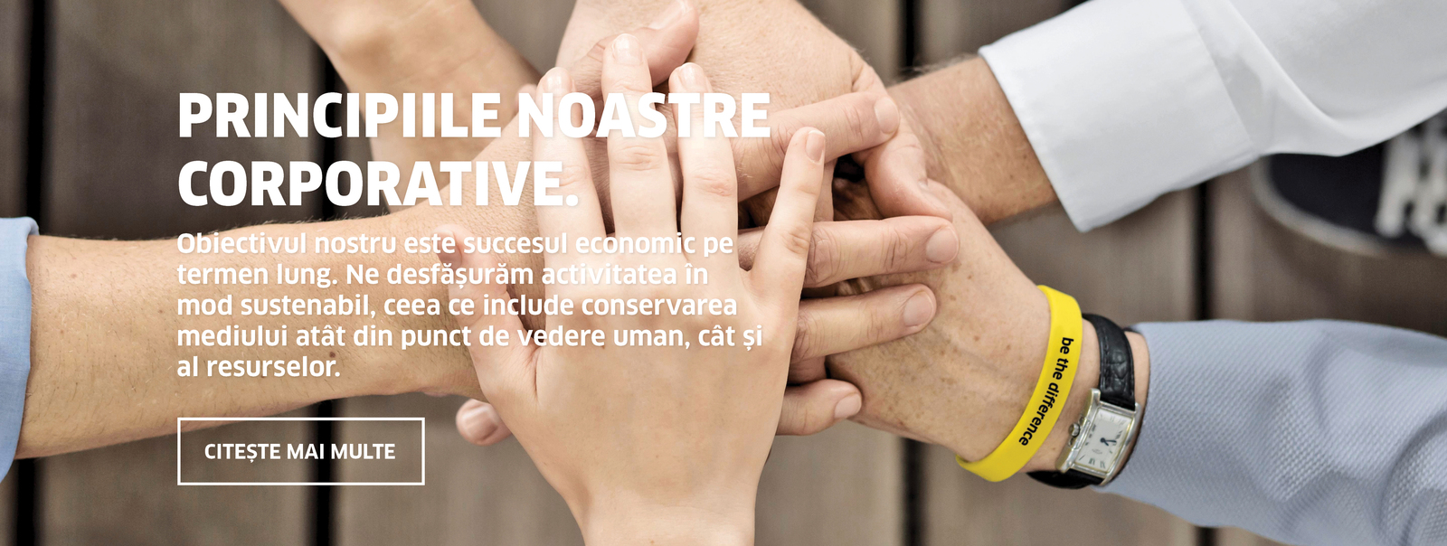 Principiile corporative