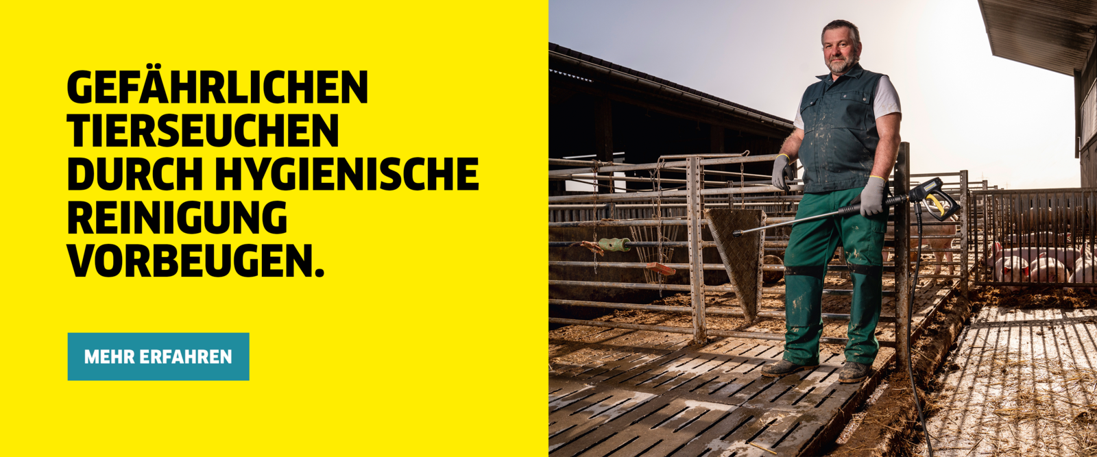 Gefährlichen Tierseuchen durch hygienische Reinigung vorbeugen Gefährlichen Tierseuchen durch hygienische Reinigung vorbeugen