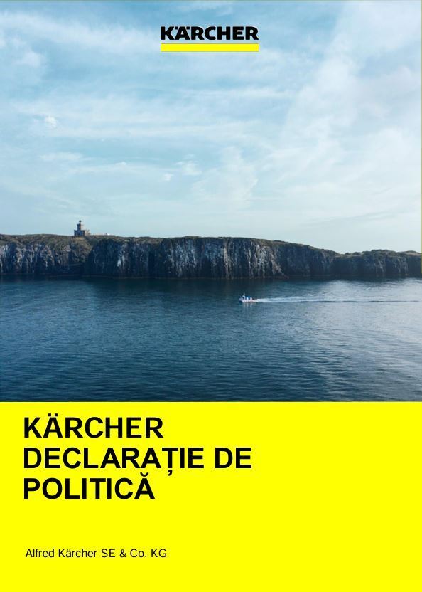 Декларация принципов политики