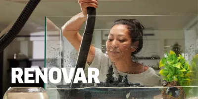 Renovar Renovar