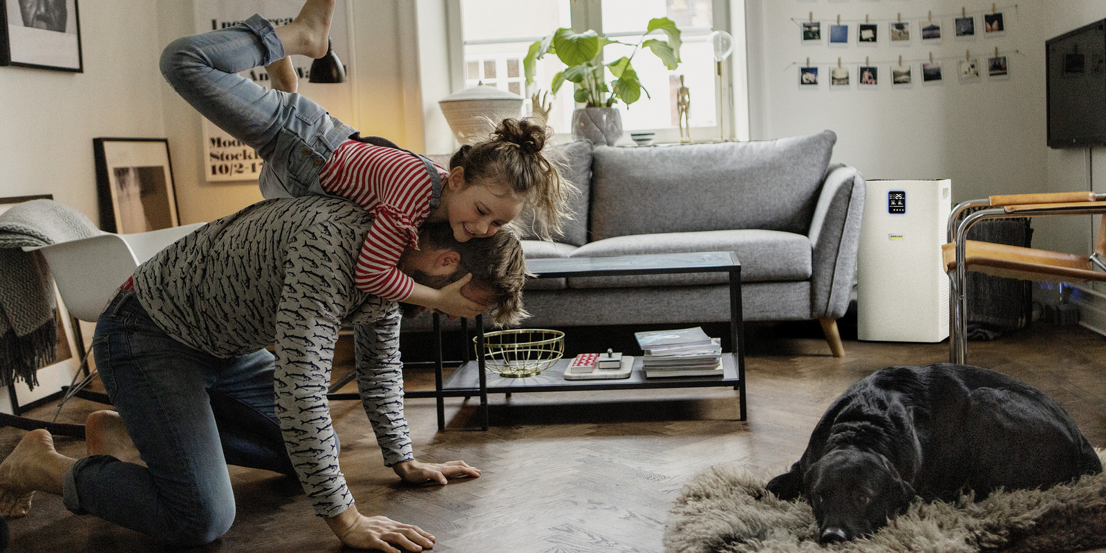 Wohnräume reinigen Wohnräume reinigen mit Kärcher Tipps