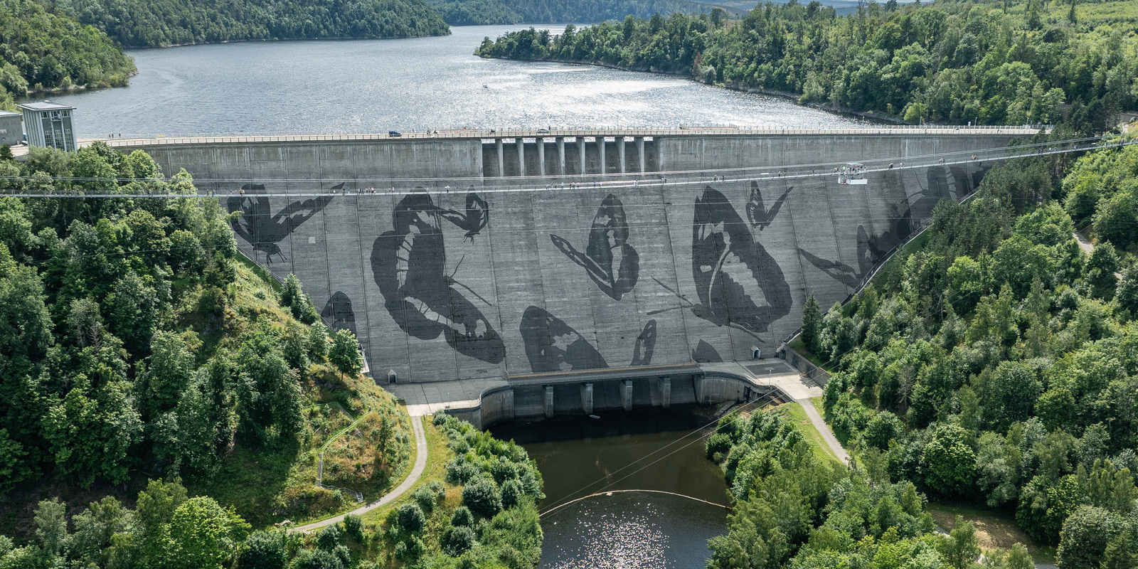 Reverse Graffiti - Harz mountains, Germany