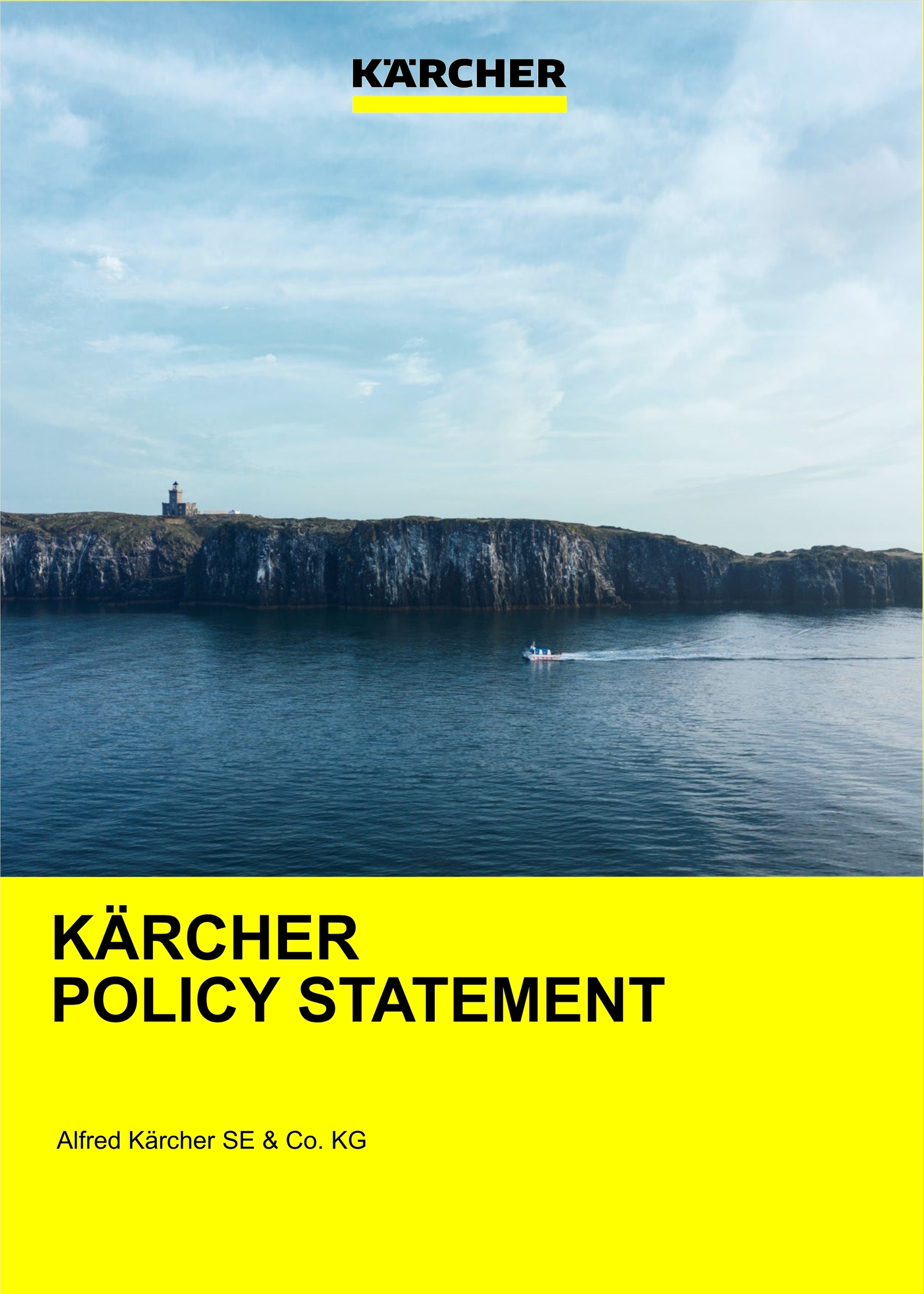 policy_statement