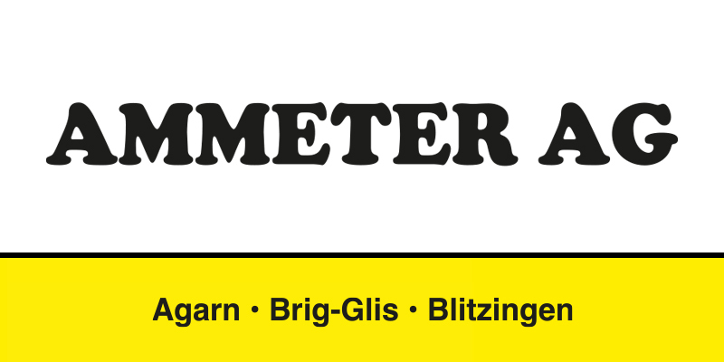AMMETER & FRANZEN AG