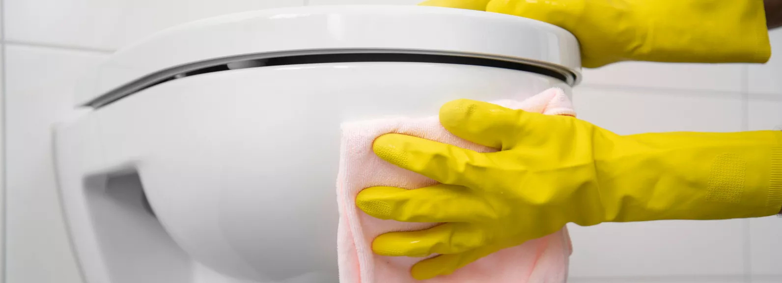 Các chất tẩy nhẹ đủ để làm sạch bên ngoài Các chất tẩy nhẹ đủ để làm sạch bên ngoài