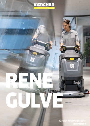 Rene_gulve_2024