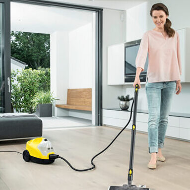 steam cleaner