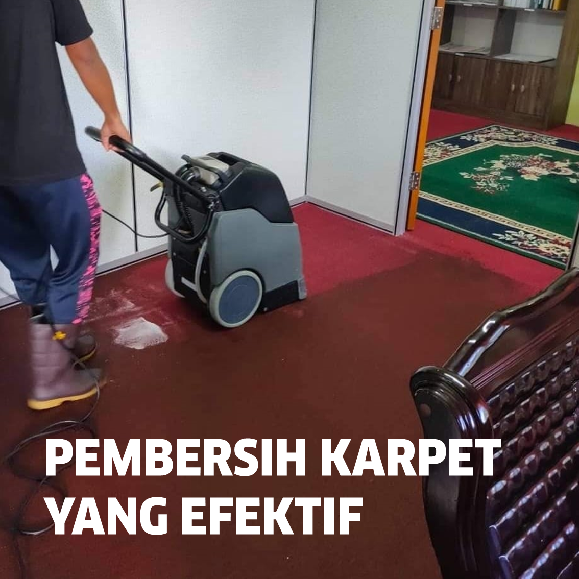 Carpet Cleaner