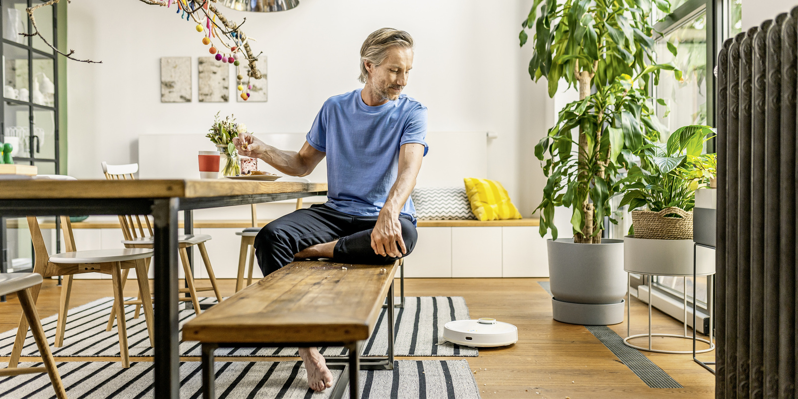 Kärcher tips for cleaning upholstery carpet