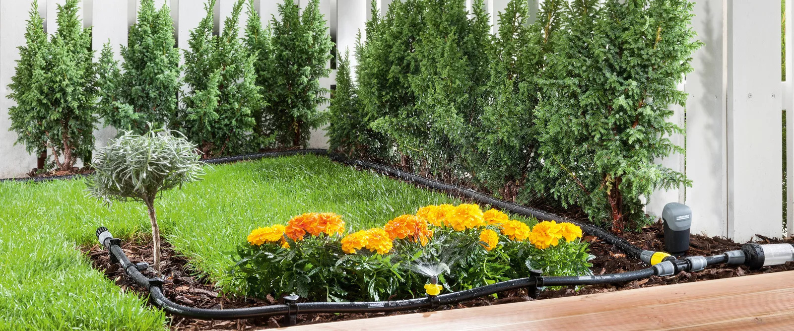 thiết kế hệ thống tưới cây tự động