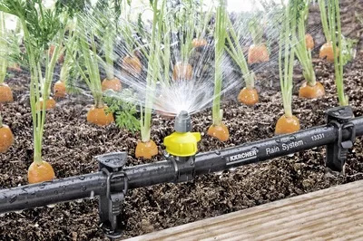 Bắt đầu từ hệ thống tưới nước tự động